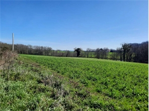 terrain à la vente -   72240  MEZIERES SOUS LAVARDIN, surface 4535 m2 vente terrain - UBI396774182